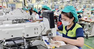 Công ty TNHH Ha Hae Việt Nam tăng đơn hàng xuất khẩu khoảng 30% 